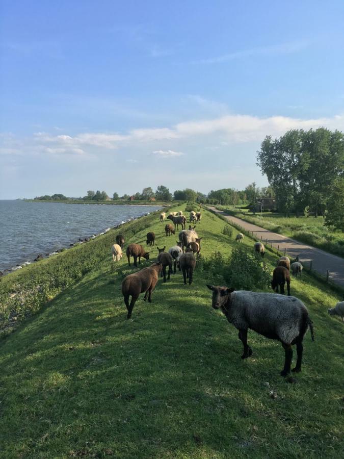 הוילה Warder Huis Aan Ijsselmeer Nabij Amsterdam מראה חיצוני תמונה